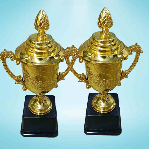 Crown of Distinction Medium Trophy (12pcs)