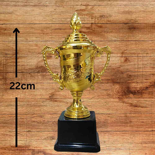 Crown of Distinction Medium Trophy (1pcs)