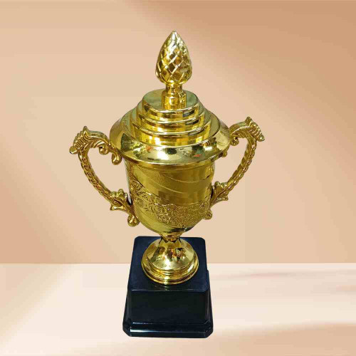 Crown of Distinction Medium Trophy (1pcs)