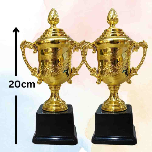 Crown of Distinction Small Trophy (12pcs)