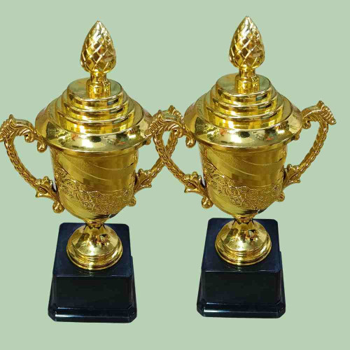 Crown of Distinction Small Trophy (12pcs)