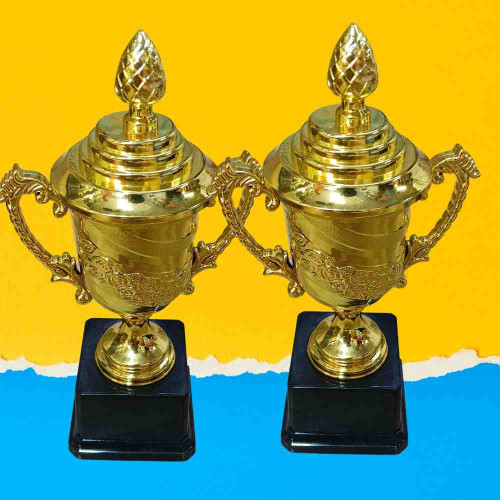 Crown of Distinction Small Trophy (12pcs)