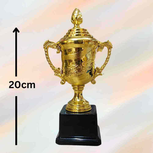 Crown of Distinction Small Trophy (1pcs)