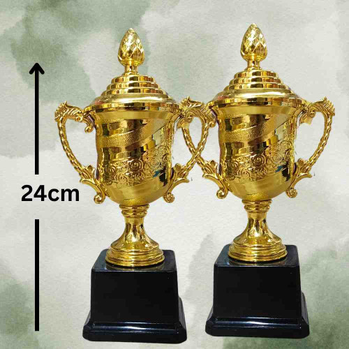 Crown of Distinction Large Trophy (12pcs)