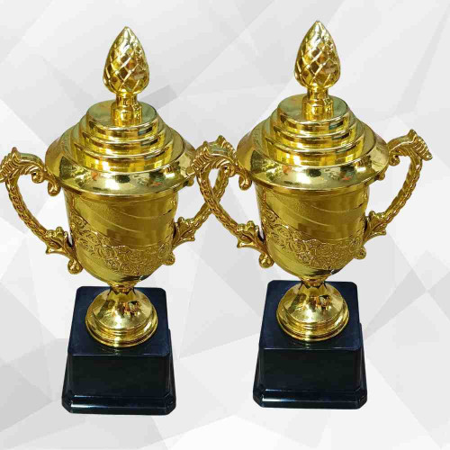 Crown of Distinction Large Trophy (12pcs)