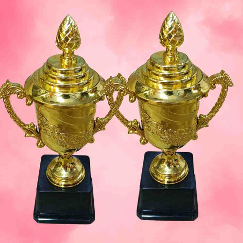 Crown of Distinction Large Trophy (12pcs)