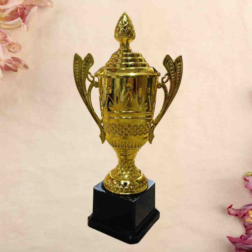 Crown Jewel Award (1pcs)