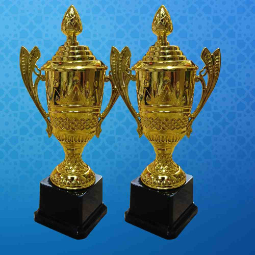 Crown Jewel Award (12pcs)