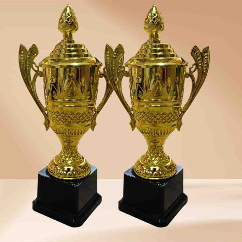 Crown Jewel Award (12pcs)