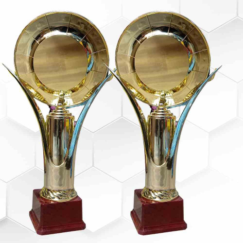 30 Star Trophy (12pcs)