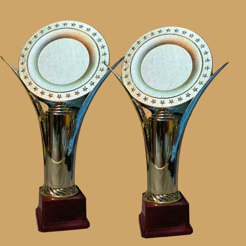 30 Star Trophy (12pcs)