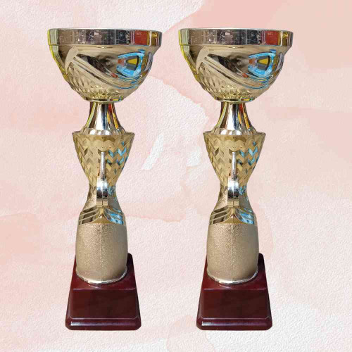 Legend Award (12pcs)