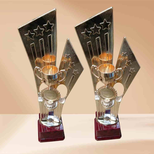 Starbound Excellence Trophy (12pcs)