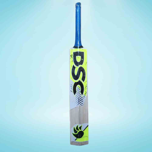 DSC Cricket Bat (1pcs)