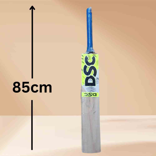 DSC Cricket Bat (1pcs)