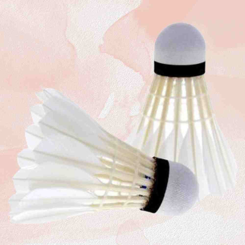 Feather Shuttle Cocks (1pcs)