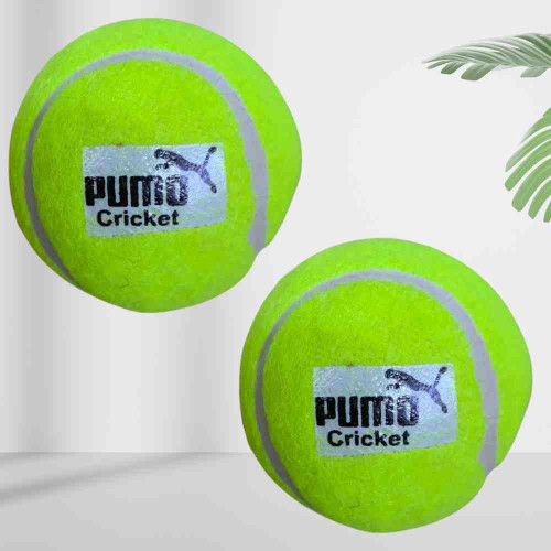 Pumo Cricket Ball (12pkt)