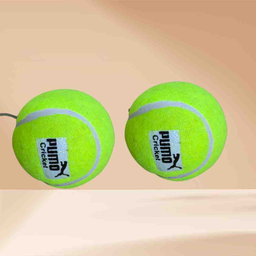 Pumo Cricket Ball (12pkt)