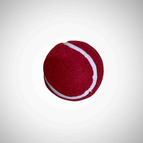 Cricket Tennis Rubber Balls (1pcs)