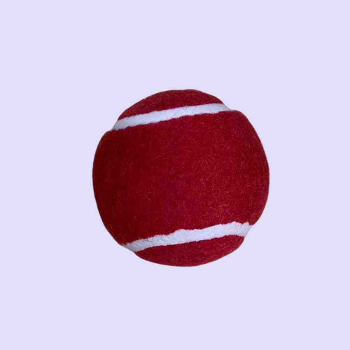 Cricket Tennis Rubber Balls (1pcs)