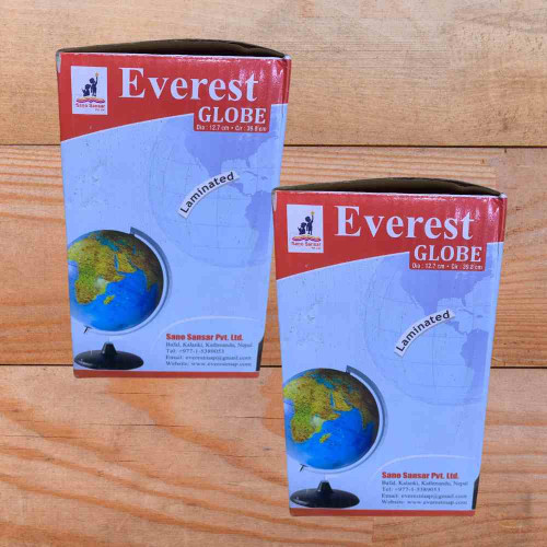 Large Size Globe (12pcs)