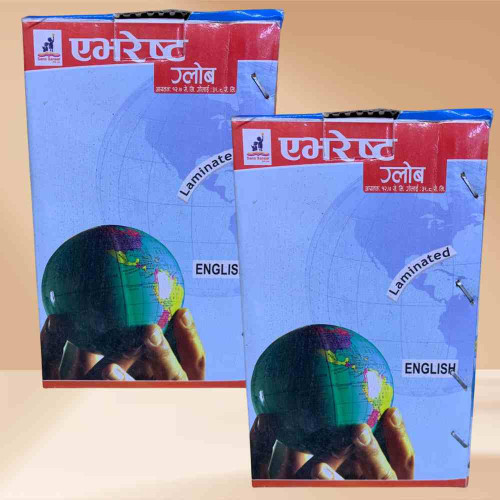 Large Size Globe (12pcs)