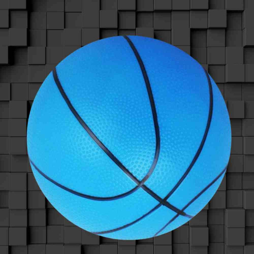 Nivia Small Basketball (1pcs)