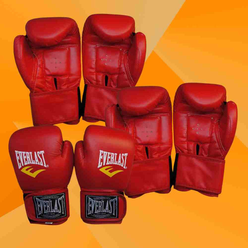 Everlasting Boxing Gloves (12pair)