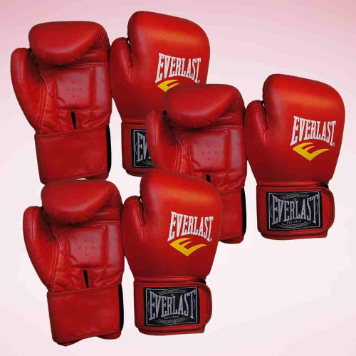 Everlasting Boxing Gloves (12pair)