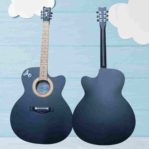 Givsum Venus SPL. Guitar (12pcs)