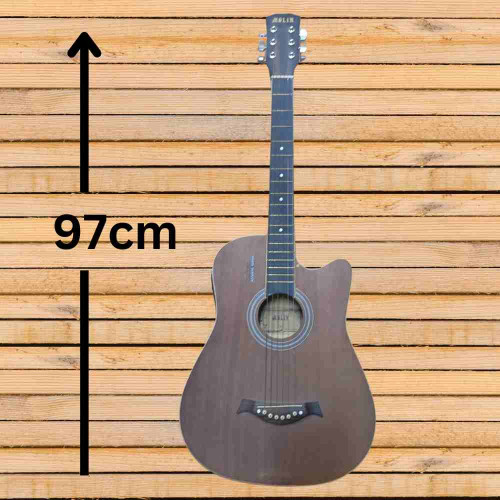 Molin Guitar (1pcs)