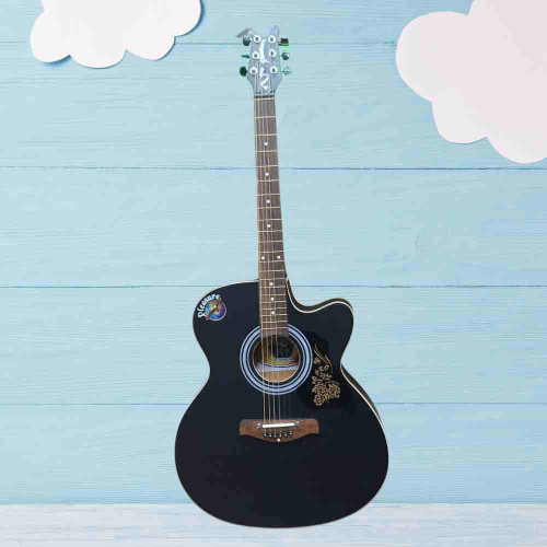 Pleasure Guitar (1pcs)