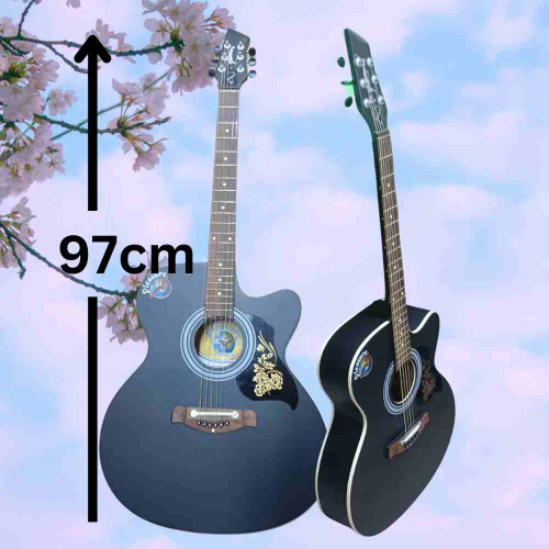 Pleasure Guitar (12pcs)